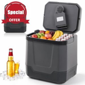 Portable 33L Dual Power Car Fridge Cooler Warmer