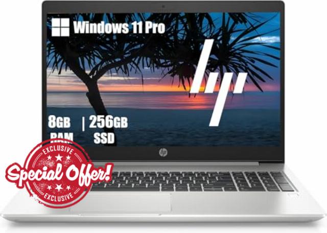 HP ProBook 450 G7 Business Laptop