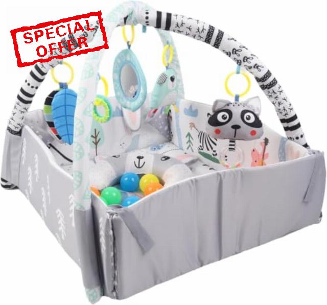 Baby Play Gym 4-in-1 Baby Activity Mat with Ball Pit