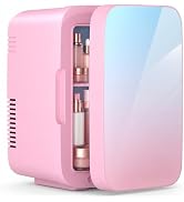 ARTETHYS Mini Fridge for Bedrooms 10L Car Fridge Mini Refrigerator with System Cooler and Warmer ...