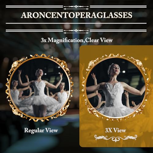 Ideal for Concert Theater Opera
