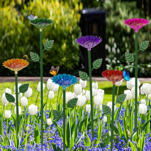 Bee Baths for Garden