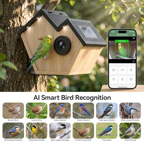 AI Recognition