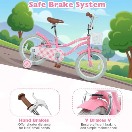 Children's Training Bicycle | Toddler Bike with Height Adjustable Handlebar & Seat