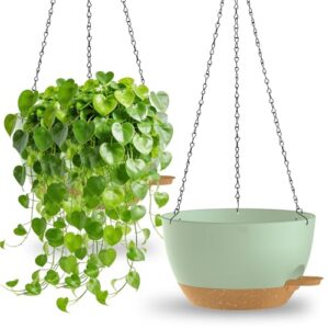2 Pack Plastic Self Watering Hanging Baskets with Drainage Holes and Chain for Garden Porch (Green Brown)
