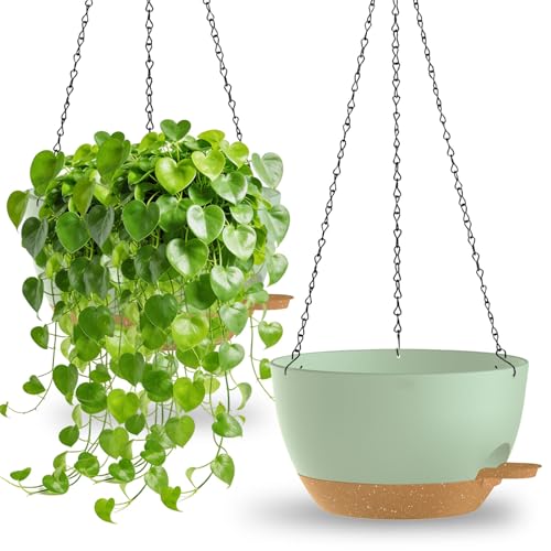 2 Pack Plastic Self Watering Hanging Baskets with Drainage Holes and Chain for Garden Porch (Green Brown)