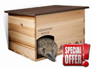 New||Wooden Hedgehog House