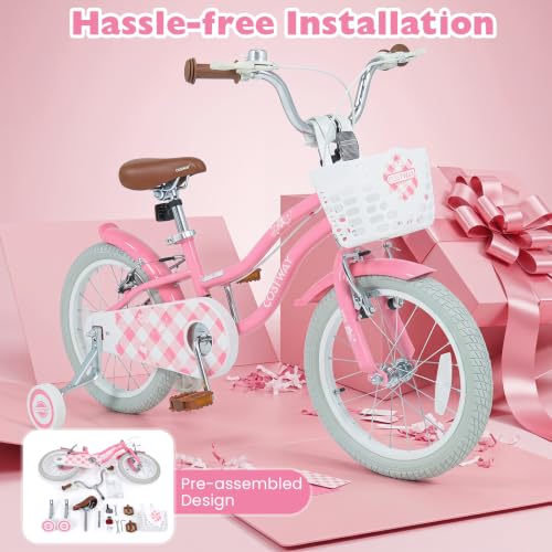 Coaster Brake