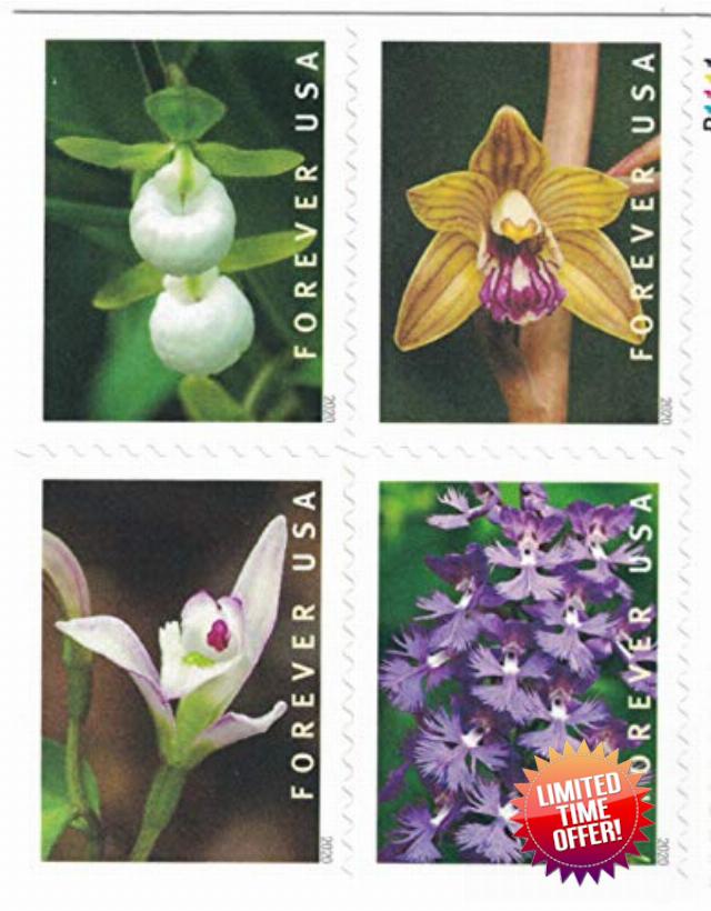 Wild Orchids Book of 20 Forever Postage Stamps Scott 5444