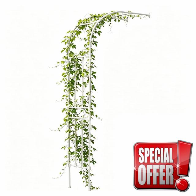 Half Garden Arch Trellis for Outdoor Climbing Plants