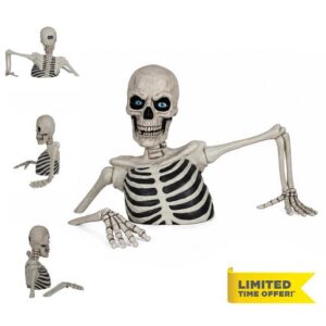 Halloween Skeleton Decoration