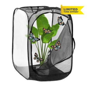 M METERXITY Butterfly Habitat Cage Terrarium
