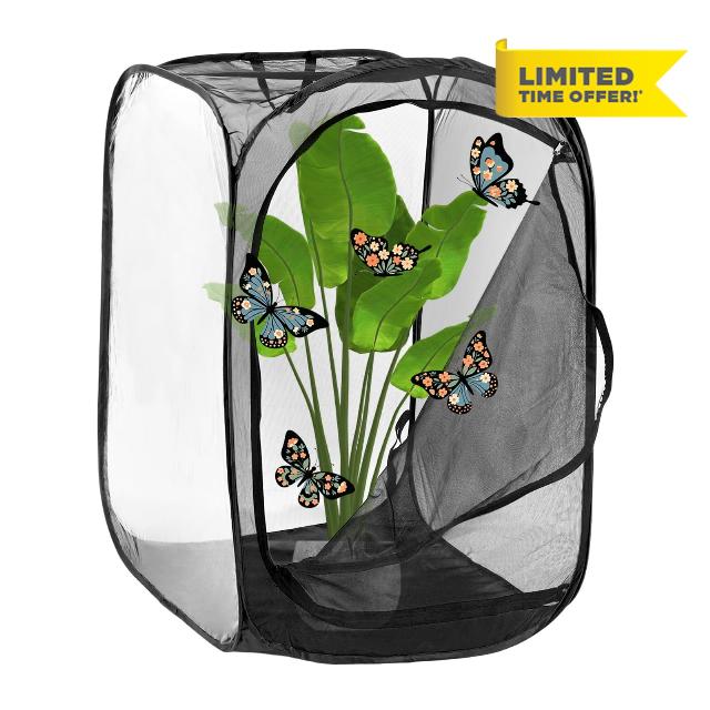 M METERXITY Butterfly Habitat Cage Terrarium