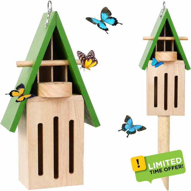 Bug House And Feeder