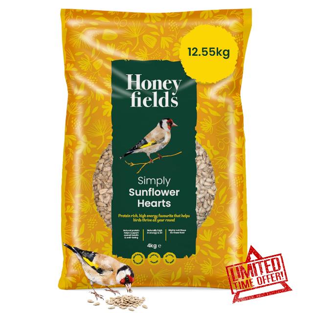 Honeyfields - Simply Sunflower Hearts Bird Food