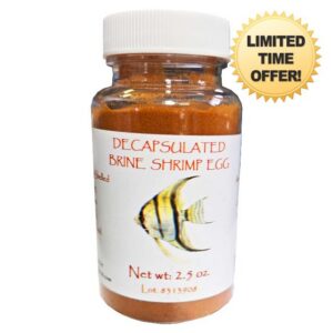 Decapsulated Brine Shrimp Eggs (Non-Hatching)
