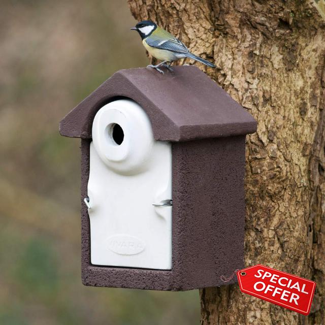 CJ Wildlife Bird Box for Gardens – Bird Nesting Box – WoodStone Brown Wood Fibre and Concrete – 32mm Hole for Great Tits
