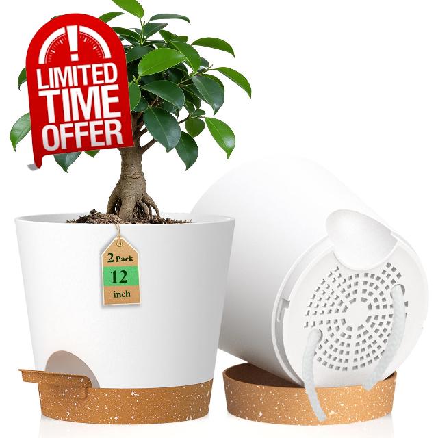 WSMKSZ 30 cm Large Self Watering Plant Pots Indoor