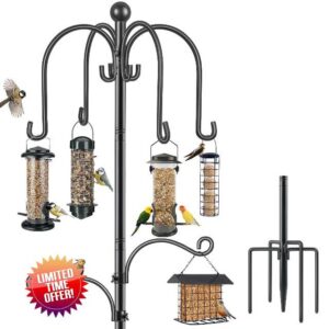 Bird Feeders Hanging Station