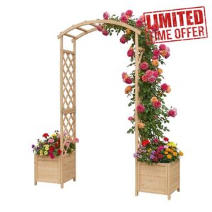 Relaxdays Rose Arch