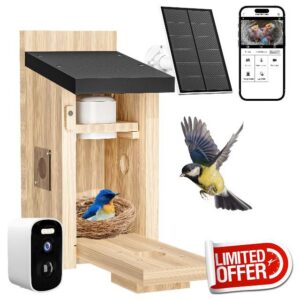 Birdhouse Camera