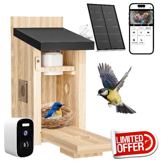 Birdhouse Camera