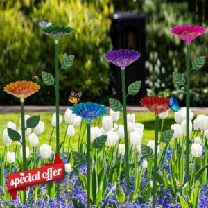 6 Pack Bee Watering Station