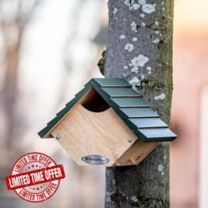 National Trust Robin Nesting Box – Robin Bird Box