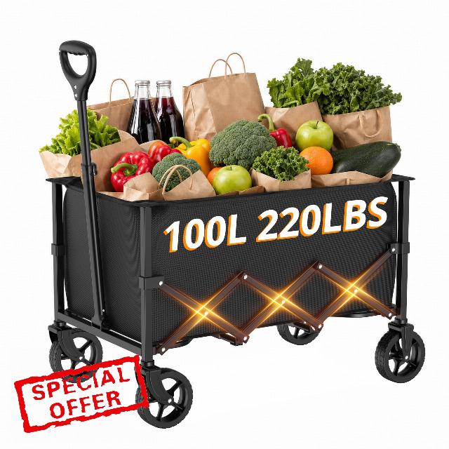 RYGEO 100L Festival Trolley on Wheels