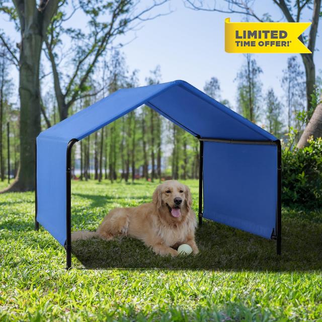 Dog Shade