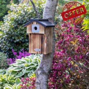 CJ Wildlife Bird Box for Gardens – Bird Nesting Box with 32mm Entrance for Great Tits and Nuthatches – FSC Wood