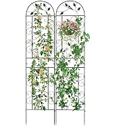 The Fellie 220cm Tall Metal Garden Trellis for Climbing Plant Support | 2 Pack Decorative Trellis...