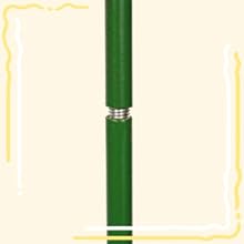 Minimalist illustration featuring green plant stems and leaves against a cream-colored background with yellow vertical stripes.