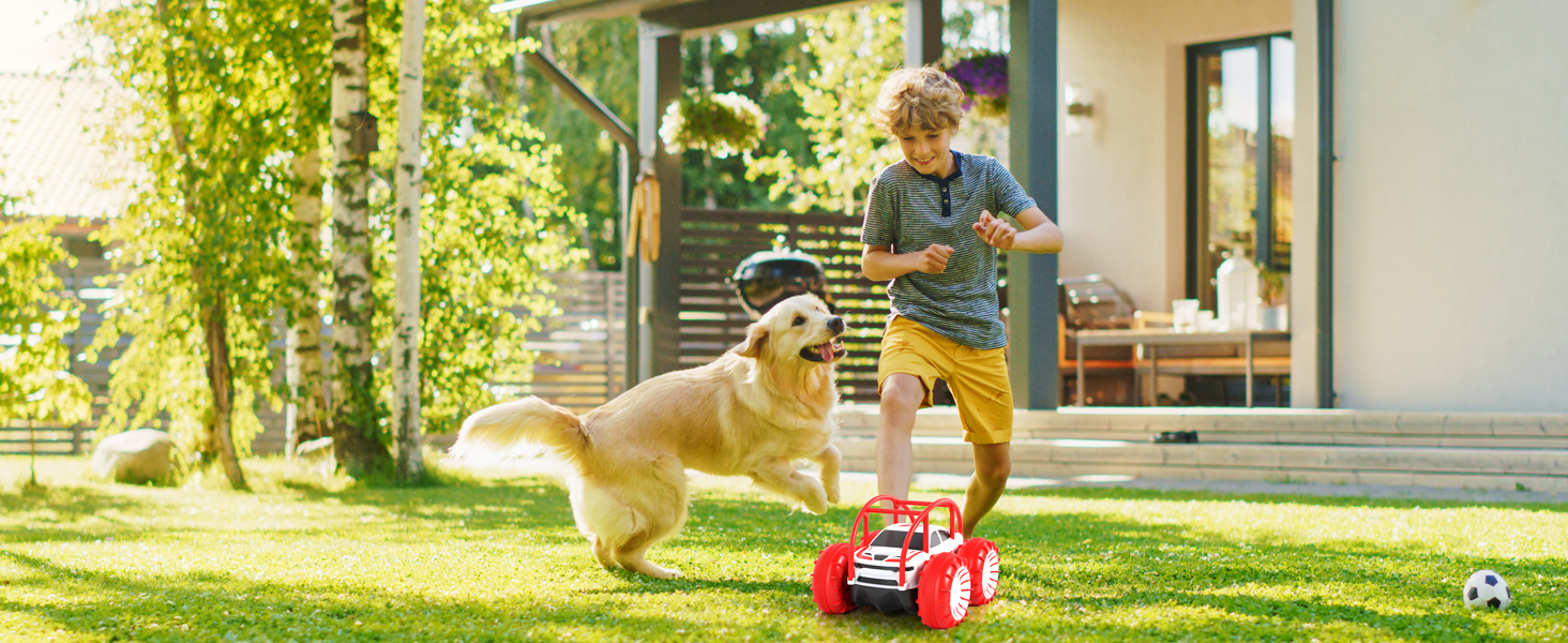 remote control cars