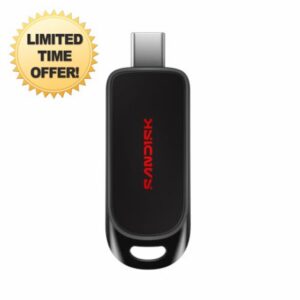 SANDISK USB-C Flash Drive 256GB