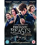 Text reads "BLU-RAY", "SECRETS OF DUMBLEDORE", and rating "PG". Blu-ray movie case featuring magical characters and glowing effects for Fantastic Beasts film.