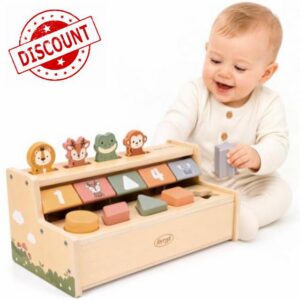 Joyreal Montessori Toys for 1 Year Old Boys Girls