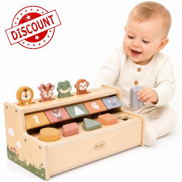 Joyreal Montessori Toys for 1 Year Old Boys Girls