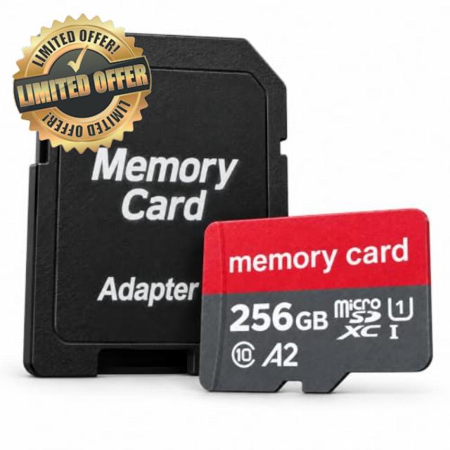 256GB Memory Card with Adapter