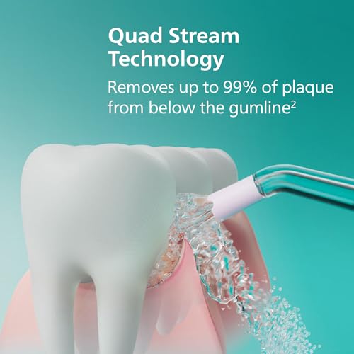 Gums and Dental Care
