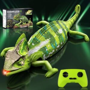 Realistic Wall Ceiling Climbing Toy – Gift for Kids Aged 3+