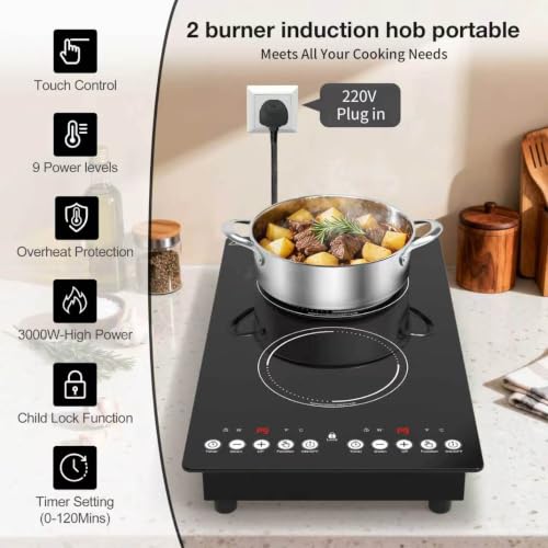 double burner with 9 Power Levels