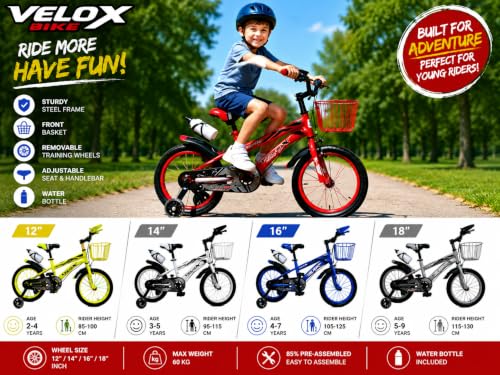 Adjustable Sport Bike 2-12 Years Old