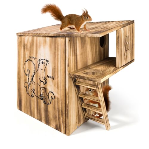 Nest Box Carbonized Solid Wood
