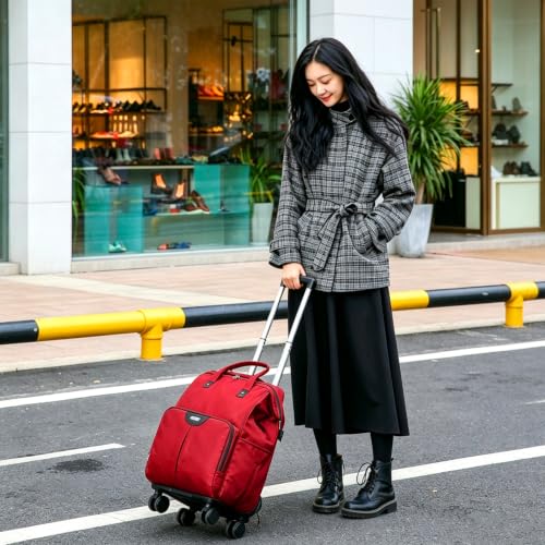 Bags on Wheels Work case