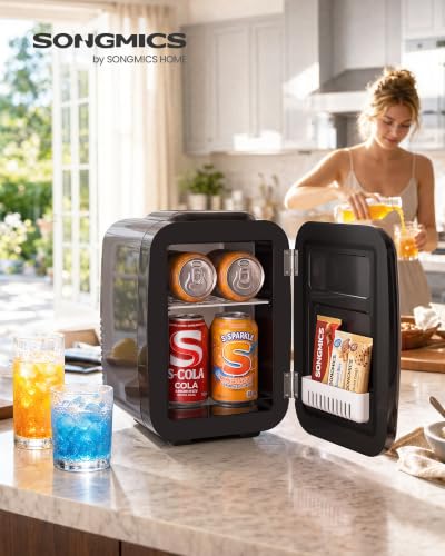 Portable Small Fridge Mini Cooler & Warmer                                                          Portable Mini Fridge for Bedroom