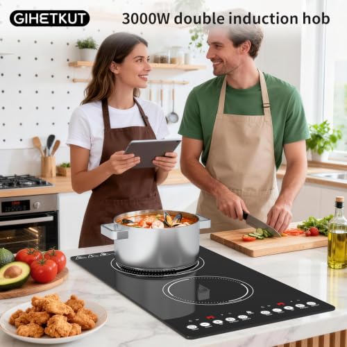 220V 3000W double induction cooker with Brushed Panel LED touch Control