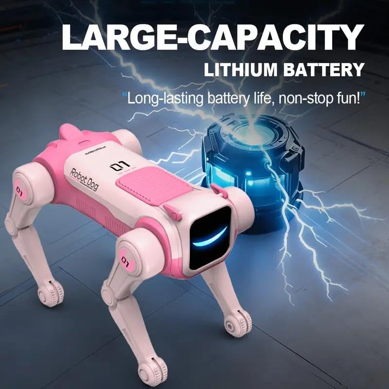 Rechargeable