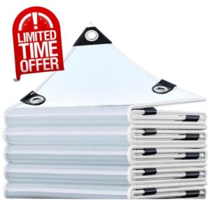 Clear Tarpaulin Waterproof Heavy Duty 2.5x2.8 m PE Transparent Sheet                                                          with Reinforced Edges & Eyelets for Camping