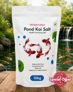 Pond Salt 10kg – Koi & Goldfish Treatment